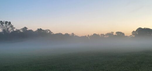 A foggy morning